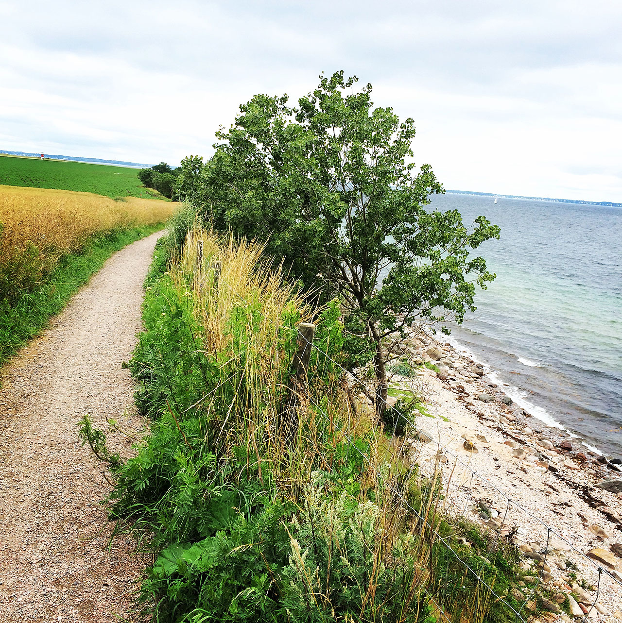 Cykelväg på Ven